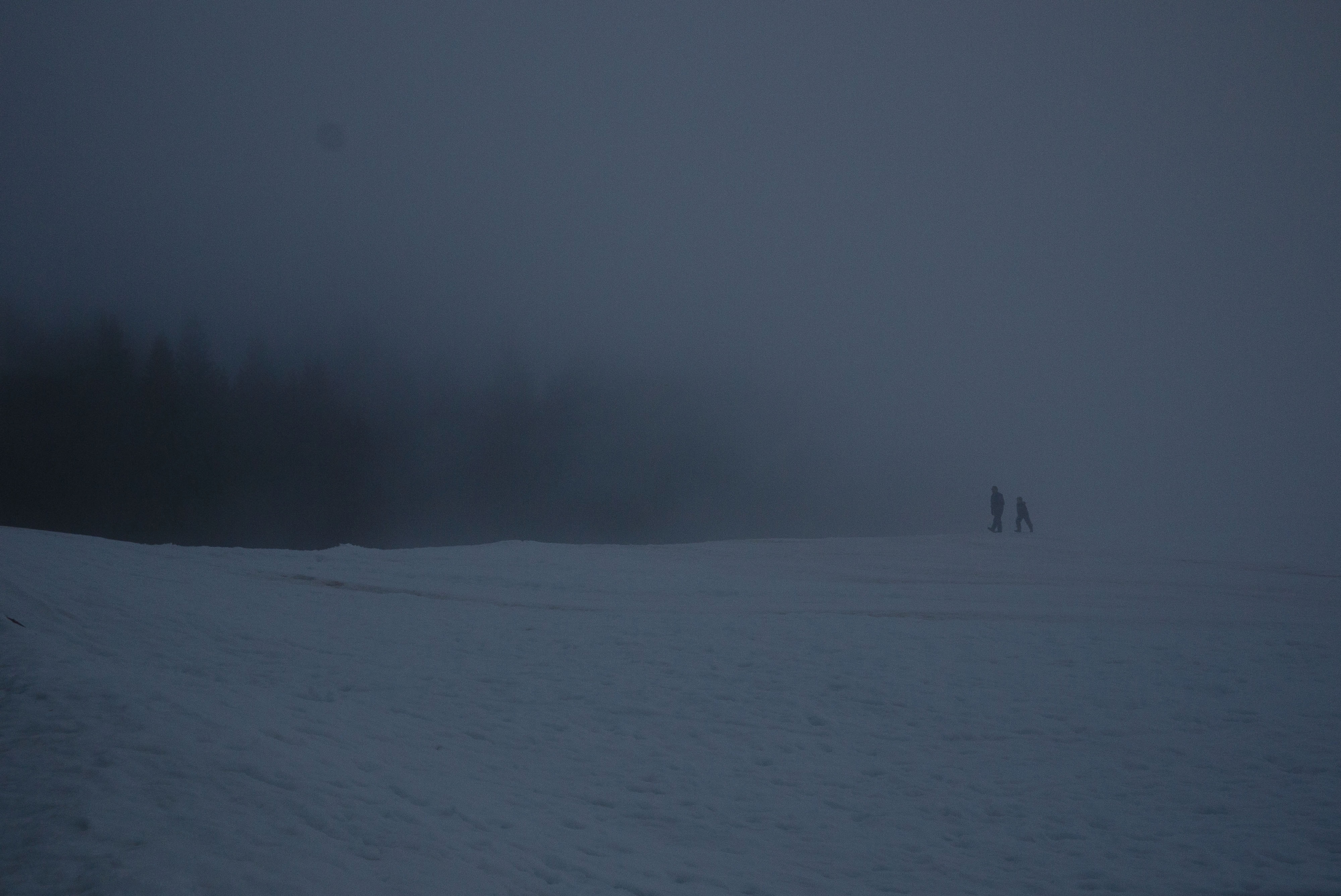 Route forestière de Malissard