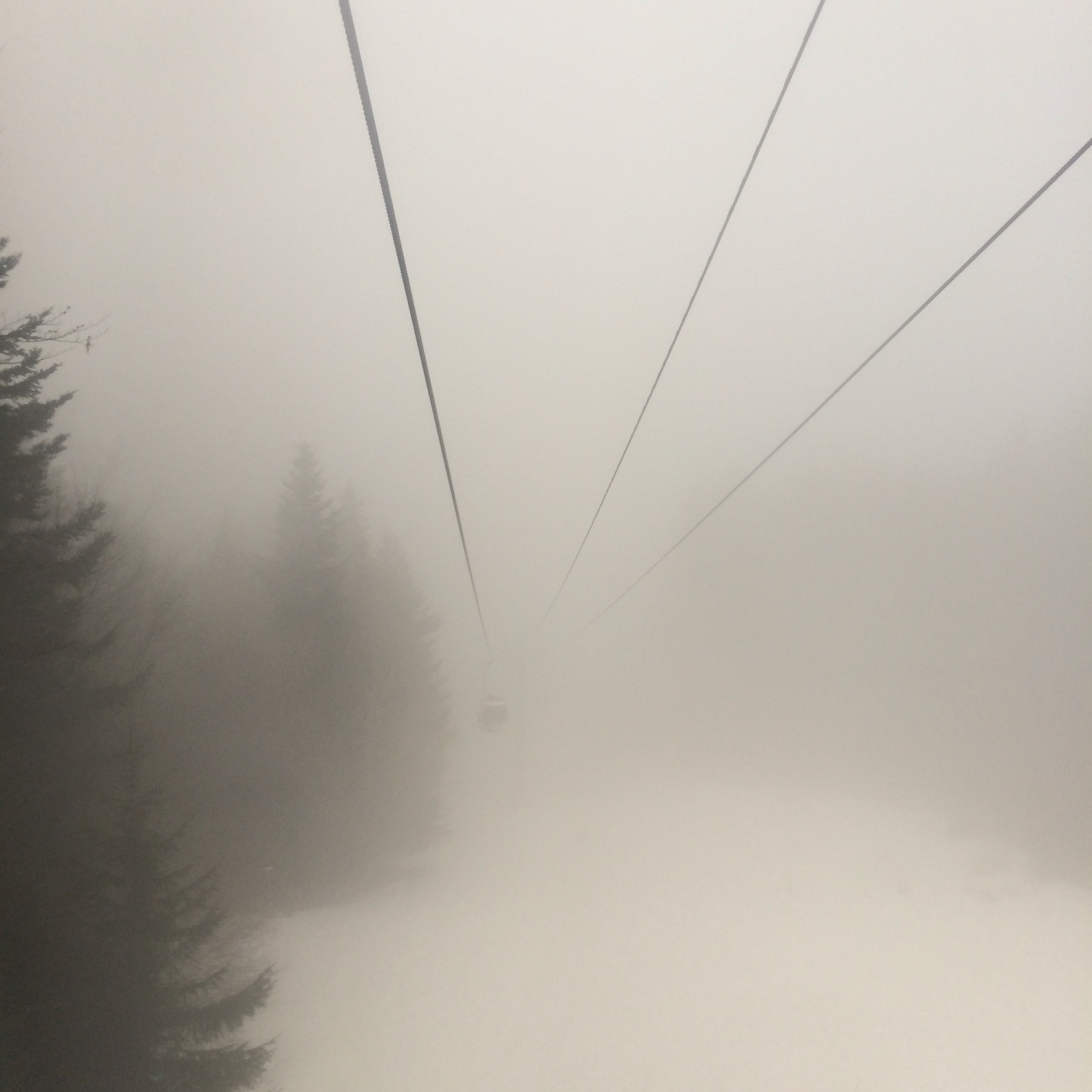 Saint-Pierre-de-Chartreuse⁩, ⁨Auvergne-Rhône-Alpes⁩, ⁨France⁩